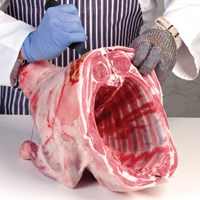 Shoulder – half – bone-in Meat Cut Spec Step 2